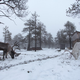 Image for article titled Photos: The gorgeous simplicity of life as a Siberian nomad
